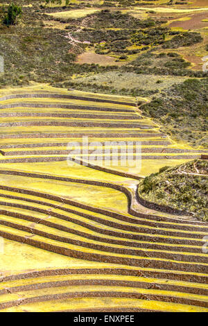 Alten Inka kreisförmige Terrassen am Moray (landwirtschaftliche Experiment-Station), Peru Stockfoto