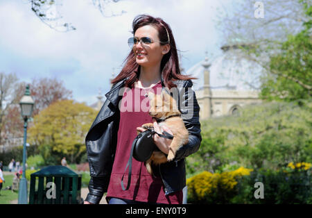 Brighton, UK. 12. Mai 2015. Wetter: Eine junge Frau nimmt ihre kleinen niedlichen Hund für einen Spaziergang in der Sonne durch Brighton Pavilion Gardens heute mit Temperaturen, die hohe Teens erreichen Celsius Credit: Simon Dack/Alamy Live News Stockfoto