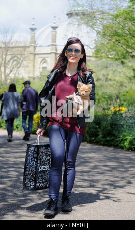 Brighton, UK. 12. Mai 2015. Wetter: Eine junge Frau nimmt ihre kleinen niedlichen Hund für einen Spaziergang in der Sonne durch Brighton Pavilion Gardens heute mit Temperaturen, die hohe Teens erreichen Celsius Credit: Simon Dack/Alamy Live News Stockfoto