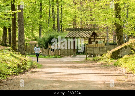 RONNEBY, Schweden - 11. Mai 2015: Unbekannte männliche Jogger japanischen Garten im grünen Buchenwald. Execise in Natur ist Achtsamkeit und Zen in Harmonie. Stockfoto