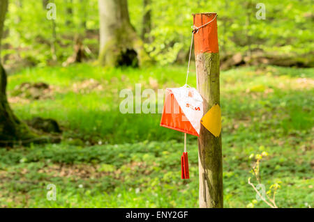 Ronneby, Schweden - 11. Mai 2015: Silva Marke Orientierung Kontrolle auf Trail Marker in den Wald. Silva ist bekannt für den Verkauf Kompasse und Uhren laufen. Stockfoto