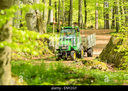 Ronneby, Schweden - 11. Mai 2015: Kleine John Deere Komprimierungsprogramm Traktor 2520 in den Wald auf schmalen Pfad verwendet. Hier zu sehen mit einem Anhänger in Buchenwald umgeben. Stockfoto