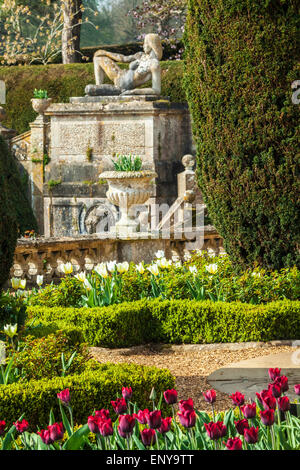 Tulpen auf der Terrasse des Bowood House in Wiltshire. Stockfoto