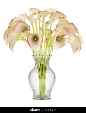 Bouquet von Calla Lilien in Glasvase isoliert Stockfoto