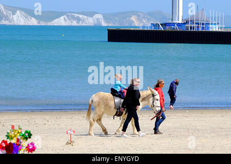 Weymouth, Dorset, UK. 12. Mai 2015. Wie die Sonne kehrt an die Südküste Holliday-Macher zurück genießen Sie eine traditionelle Eselsritt am Strand von Weymouth. Bildnachweis: Tom Corban/Alamy Live-Nachrichten Stockfoto