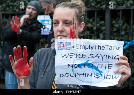 Hunderte von Demonstranten versammeln sich gegenüber der japanischen Botschaft in London zum protest gegen die Tötung von den Säugetieren während der Delphin-Laufwerke, die jedes Jahr von September bis März in Taiji, Higashimuro District, Präfektur Wakayama, Japan statt.  Mitwirkende: Wo sehen: London, Vereinigtes Königreich bei: Kredit-7. November 2014: Peter Maclaine/WENN.com Stockfoto