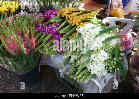 Gladiolen und Orchideen, Schnittblumen auf einem Stall in ein Bangkok-Lebensmittelmarkt, Thailand, Februar Stockfoto