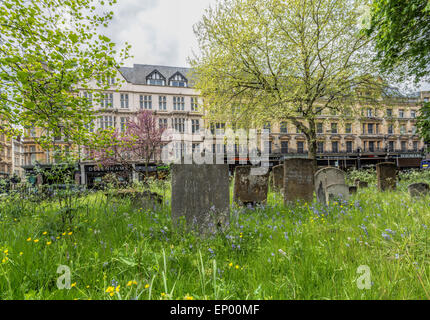 Alte Grabsteine und Glockenblumen im Friedhof von St. Michael am Nordtor, eine Kirche und das älteste Gebäude in Oxford, Großbritannien Stockfoto