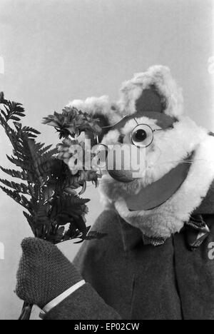 EMM Wie Meikel, Kinderserie 1975-1978, Meikel Katzengreis Bringt Einen Bluemstrauß. Stockfoto