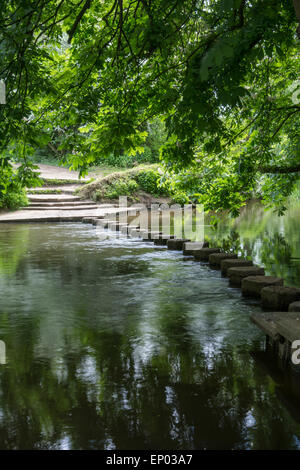 Trittsteine über River Mole, Surrey, England Stockfoto