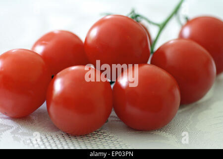 Reife strauchtomaten mit Stiel auf ein weißes Tischtuch. Stockfoto