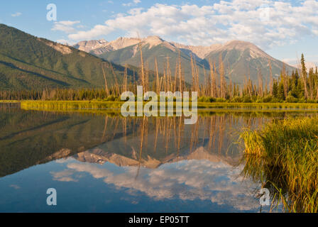 Berge in den Vermilion Seen spiegelt sich in den frühen Morgenstunden, Banff Nationalpark, Alberta Stockfoto