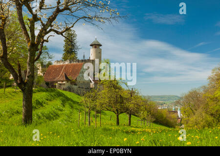 Anfang Frühling Nachmittag Schloss Birseck in der Nähe von Arlesheim, Schweiz. Stockfoto