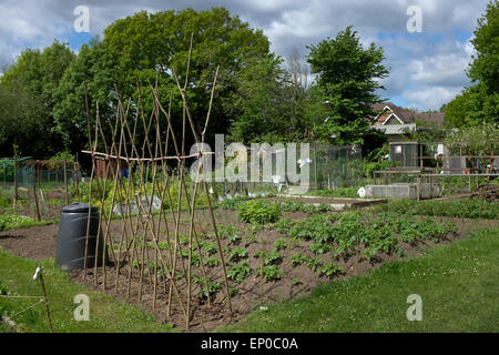 Blick auf eine Zuteilung in Hampshire, England Stockfoto