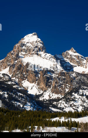 Die Kathedrale-Gruppe im Winter, Grand-Teton-Nationalpark, Wyoming, USA Stockfoto