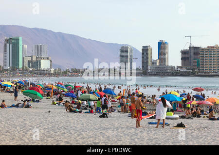 Cavancha Strand in Iquique, Chile Stockfoto