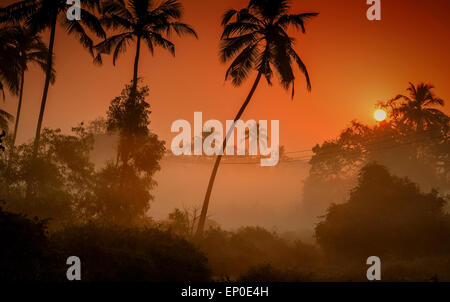 Palmen, die Silhouette gegen einen nebligen Sonnenaufgang im Dorf Tamborim, Goa, Indien Stockfoto