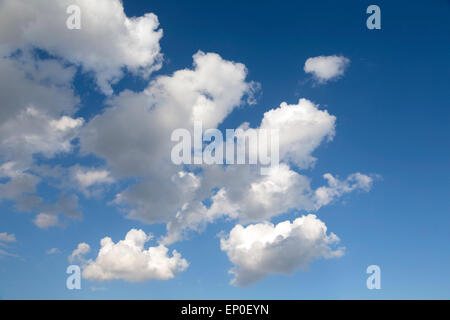 Flauschige weiße Kumuluswolken ziehen an einem schönen Tag über einen tiefblauen Himmel. Wolkenhimmel, Naturhintergrund. Stockfoto