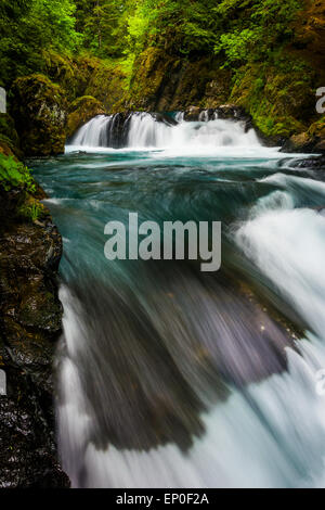 Kaskaden auf dem kleinen weißen Salmon River unterhalb Geist Fälle in der Columbia River Gorge, Washington. Stockfoto