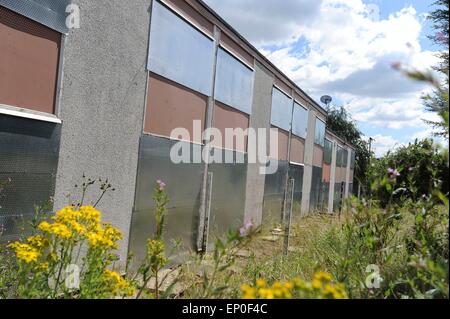 Verlassene und leere Häuser auf dem Scowerdon Anwesen in Sheffield, Vereinigtes Königreich. Stockfoto