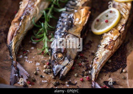 Ganzer Fisch mit Gewürzen, Zitrone und Rosmarin in einen Bräter Pfanne mit Backpapier gebacken Stockfoto