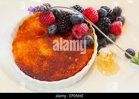 Lavendel Crème brûlée, Honig, Finch & Gabel Restaurant, Canary Hotel, Santa Barbara, Kalifornien Stockfoto