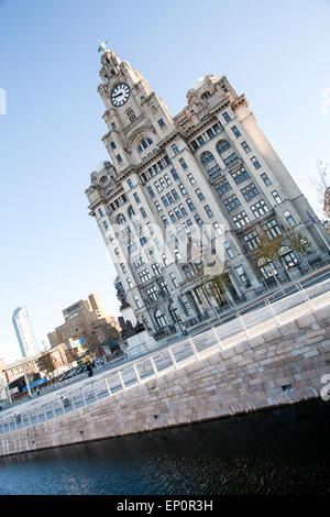 Neue Kanalsystem verbindet nun die Leeds-Liverpool Kanal Liverpools berühmten Albert Dock. Im Oktober 2010 gewann diesen Kanal link Stockfoto