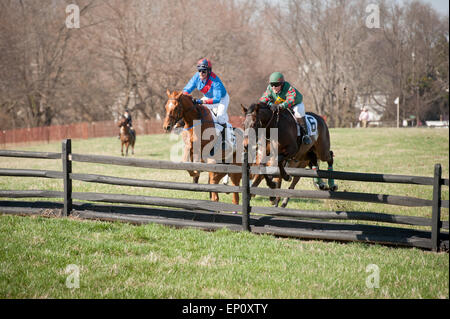 Rennpferde mit Jockeys Sprung über einen Zaun auf der Manor-Rennen in Monkton, Maryland Stockfoto