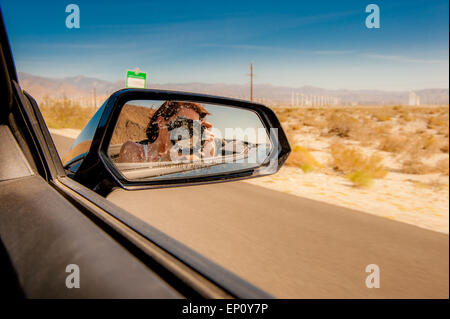 Junge Frau mit einer Kamera sieht man im Rückspiegel auf ein Auto in der Nähe von Palm Springs, Kalifornien Stockfoto