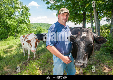 Männlichen Bauern stehen mit Kühen in Feld in Honesdale, Pennsylvania, USA Stockfoto