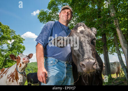 Männlichen Bauern stehen mit Kuh in Honesdale, Pennsylvania, USA Stockfoto