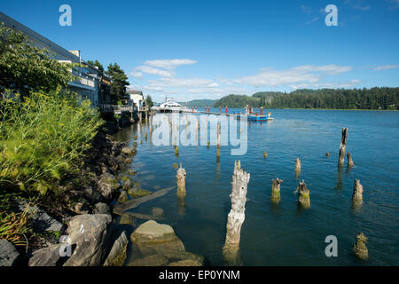 Alten dock Beiträge in einer Bucht entlang der Küste Oregon, USA Stockfoto