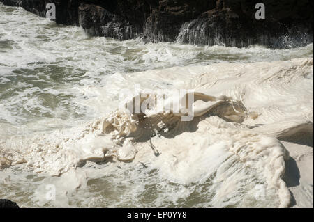 Devils Churn entlang der Küste von Oregon, USA Stockfoto