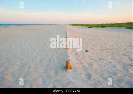 Sandstrand an der Assateague Island National Seashore, Maryland, USA Stockfoto