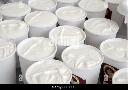 Nahaufnahme der Container voller Eis in Baltimore, Maryland, USA Stockfoto