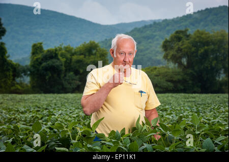 Männlichen Bauern in Soja Feld hält Brillen stehen. Stockfoto