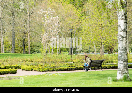 Ronneby, Schweden - 11. Mai 2015: Unbekannte Frau sitzen auf Park Bench SMS auf ihr Handy. Rosengarten und Bäume vor ihr. Ein Baum steht in Blüte. Stockfoto