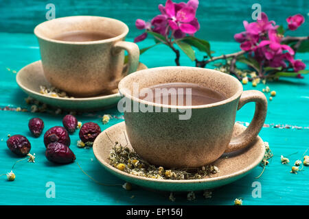 duftenden Tee mit Kamille in Keramiktasse inmitten blühender Zweig gebraut. Selektiven Fokus Stockfoto