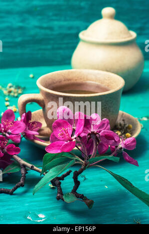 duftenden Tee mit Kamille in Keramiktasse inmitten blühender Zweig gebraut. Selektiven Fokus Stockfoto