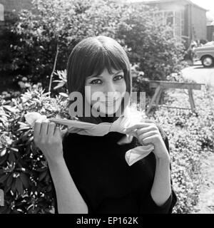 Israelische Sängerin und Plant Esther Ofarim, Deutschland 1960er Jahre. Die israelische Sängerin und Schauspielerin Esther Ofarim, G Stockfoto