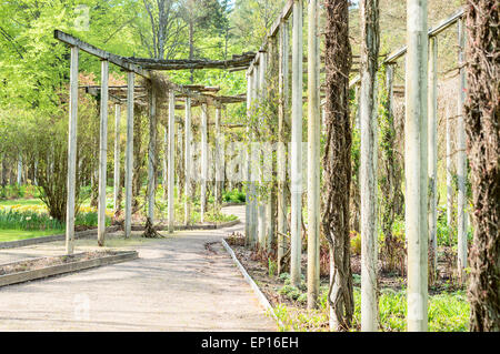 Tragsäulen für Gartenpflanzen im Frühjahr vor dem Pflanzen bedecken. Schotter Spur läuft durch den Garten. Wald im Hinterg Stockfoto