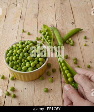 Ökologische frische grüne Erbsen Hülsen in einem rustikalen Holztisch. Stockfoto