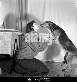 Eine Junge Frau Spielt Mit Dachmarke Hund, 1950er Jahre Deutschland. Eine junge Frau spielt mit ihrem Hund, Deutschland der 1950er Jahre. Stockfoto