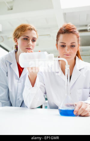 Porträt von Wissenschaftlern machen ein Experiment Stockfoto
