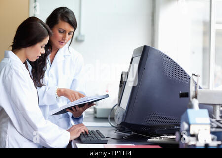 Wissenschaftlerinnen, Vergleich der Ergebnisse Stockfoto