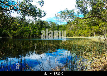 Lake Allom, Fraser Island, Queensland, Queensland, Australien Stockfoto