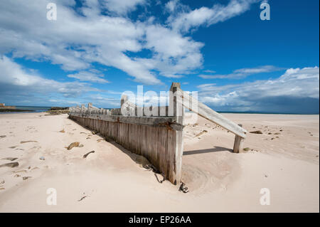 Sandstraenden im East Beach Sands in Lossiemouth, Morayshire, Schottland.  SCO 9793 Stockfoto