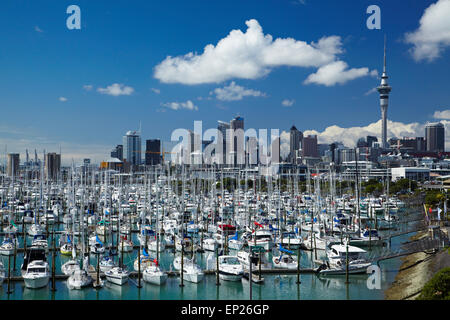 Westhaven Marina und Sky Tower, Auckland, Nordinsel, Neuseeland Stockfoto