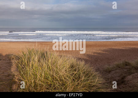 Ein einsamer Mann Spaziergänge entlang des Strandes in Blyth, Northumberland, UK Stockfoto