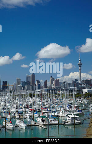 Westhaven Marina und Sky Tower, Auckland, Nordinsel, Neuseeland Stockfoto